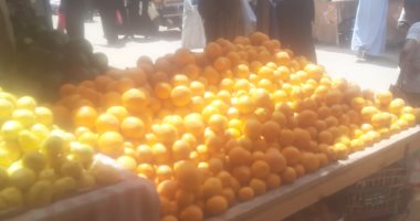 استقرار أسعار الفاكهة والخضروات فى جولة داخل سوق كوم أمبو بأسوان.. فيديو