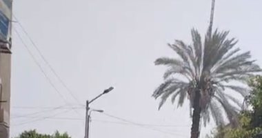 طقس ربيعى وهواء خفيف بمختلف مدن المنيا.. فيديو لايف