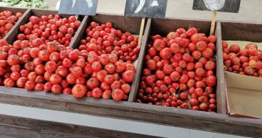 انخفاض الأسعار.. الطماطم تبدأ من 5 جنيهات بسوق البازار فى بورسعيد..لايف وصور