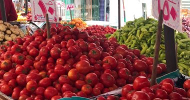 أسعار الطماطم تواصل التراجع والكيلو بـ 2.75 جنيه