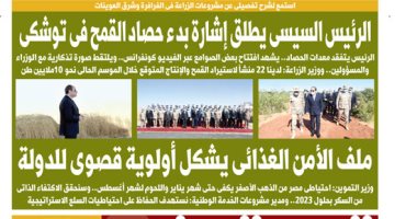 الرئيس السيسى يطلق إشارة بدء حصاد القمح فى توشكى.. غدا باليوم السابع