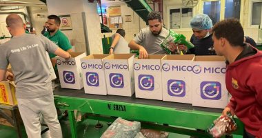 "MICO" تساهم في دعم 330 أسرة غذائيا في رمضان بالتعاون مع بنك الطعام المصري