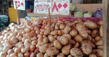 التفاح ب20 جنيها والبرتقال ب6.. شارع رياض أرخص سوق فى أسيوط (فيديو)