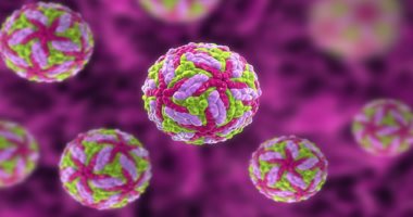 الصحة تكشف: فيروس ماربورج ليس له علاج أو لقاح مضاد 