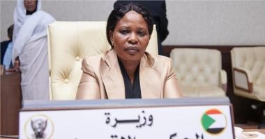 السودان: عدد الأسر المشردة جراء أحداث غرب دارفور يفوق 59 ألفا