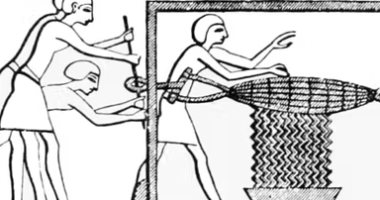 اختراعات قدماء المصريين .. كيف استخدم الفراعنة المكابس لإنتاج زيت الزيتون؟