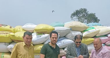 انتظام توريد القمح بإجمالى 384.377 طن لشون وصوامع محافظة البحيرة
