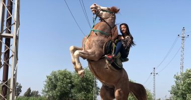 أصغر راقصة خيل في الدقهلية.. نور محمود 13 سنة تبهر الجميع بترويض الخيول.. صور