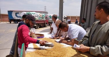 ضبط 8 أطنان من القمح بمخزن تاجر حاول حجبها عن التوريد فى كفر الشيخ