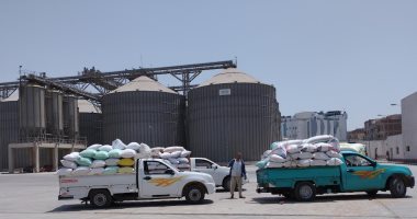تموين الشرقية: 58 موقعا لتوريد القمح بسعة تخزينية 850 ألف طن