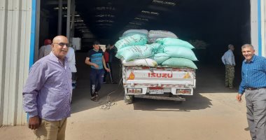 وزير التموين: فتح مواقع استلام القمح المحلى من المزارعين
