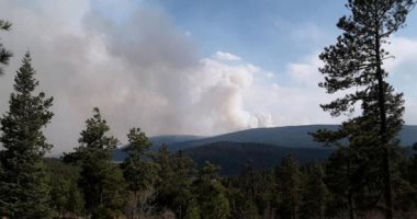 روسيا: إخماد 70 حريقا بالغابات ومحاولة إخماد النار على أكثر من 18 ألف هكتار أخرى