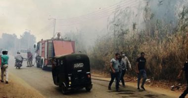 الحماية المدنية بالقليوبية تسيطر على حريق بمزرعة موز بالقناطر الخيرية.. صور