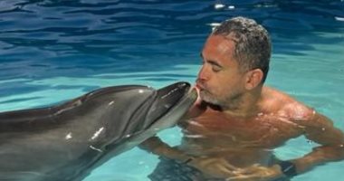 شوية روقان.. أمير كرارة يلعب مع الدلافين فى حمام سباحة "صور"