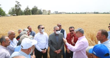 محافظ كفر الشيخ يتفقد أعمال حصاد القمح بقلين ويشيد بالمزارعين لتوريده