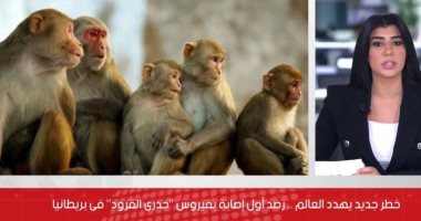خطر جديد يهدد العالم.. رصد أول إصابة بفيروس جدرى القرود بإنجلترا "فيديو"
