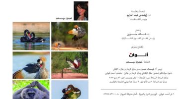 افتتاح معرض ألوان للفنانة نجوى دياب بمتحف أحمد شوقى.. الأربعاء 