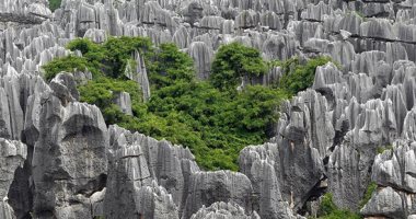 الطبيعة فى حضن الجبل.. الغابة الحجرية بالصين أهم العجائب الجيولوجية بالعالم