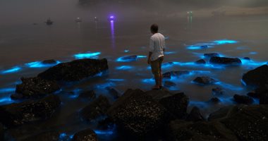 توهج مياه الشاطئ بالضوء الأزرق.. كائنات البحر المشعة تزين الجزر الصينية