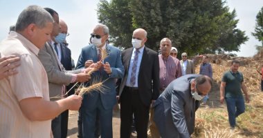 محافظ القليوبية ورئيس جامعة بنها يفتتحان موسم حصاد القمح بكلية الزراعة