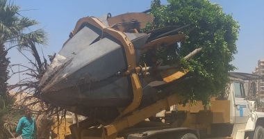 أحدث معدات هيئة نظافة القاهرة لنقل الأشجار والنخيل وإعادة زراعتها.. صور
