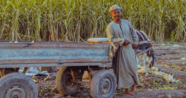 فيها حاجة حلوة.. البساطة وراحة البال عنوان الريف المصري