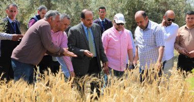 رئيس جامعة العريش: الاتجاه لزيادة مساحات القمح والشعير بمزارع الجامعة