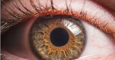 علماء أمريكيون يفجرون مفاجأة: عيون الموتى ترى حتى بعد 5 ساعات من الوفاة