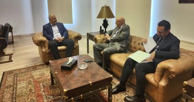 رئيس بعثة الجامعة العربية لمراقبة الانتخابات اللبنانية يلتقى محافظ بيروت