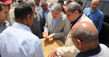 توريد 192 ألف طن من محصول القمح بالشون والصوامع بجميع مراكز المنيا