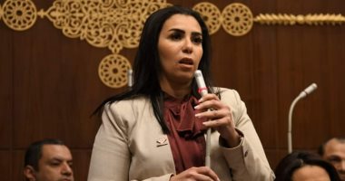 سها سعيد "نائبة التنسيقية" تنتقد القصور التشريعى لتهيئة مناخ الإبداع وريادة الأعمال