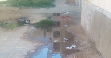 شكوى من غرق شارع أبو بكر الرازى بمدينة السادات بمياه الصرف.. ورئيس المدينة يرد