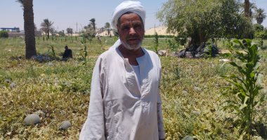 "عم سالم".. حكاية مزارع قضى 50 عامًا فى الأرض يزرع البطيخ بأنواعه (فيديو)