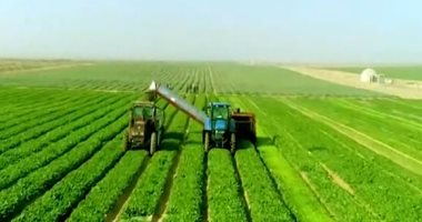 دراسة ترصد الجدوى الاقتصادية لمشروع مستقبل مصر للإنتاج الزراعى