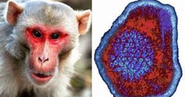 “CDC” يقيم استخدام لقاح الجدرى للوقاية من جدرى القرود للفئات المعرضة للخطر