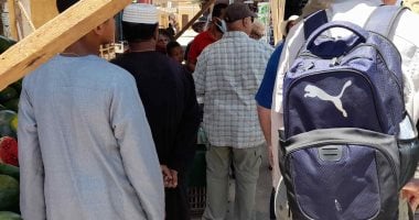 سائحون أجانب يحرصون على شراء "بطيخ" خلال جولتهم بسوق مدينة دراو.. فيديو