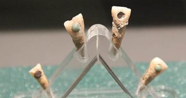 دراسة حديثة تكشف: بقايا أسنان المايا القديمة مفيدة لنظافة الفم
