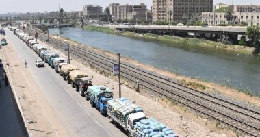 شون وصوامع المنيا تستقبل 342 ألف طن من محصول القمح بجميع المراكز