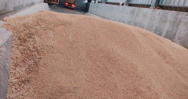 روسيا صدرت 620 ألف طن من القمح عبر موانئ البلاد الأسبوع الماضى