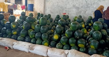 شعبة الخضراوات: الخوخ والبطيخ آمنان وننصح الباعة بعدم التخزين فى الشمس