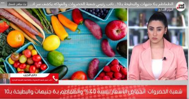 الطماطم بـ6 جنيهات والبطيخة بـ10جنيه.. نائب رئيس شعبة الخضروات يكشف سر انخفاض الأسعار 40%