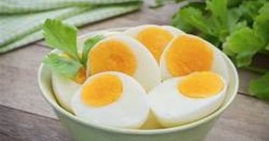 لعشاق البيض.. يساعد على إنقاص الوزن وتحسين صحة الدماغ