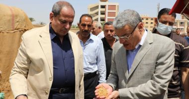 محافظ المنيا: توريد 407 آلاف طن من القمح بالشون والصوامع الحكومية