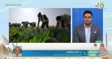 "الزراعة": تجهيز تقاوى القمح للموسم الجديد بمشروع مستقبل مصر