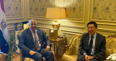 سفير سنغافورة لـ"خارجية النواب": نتطلع لمزيد من الاستثمارات بالسوق المصرية