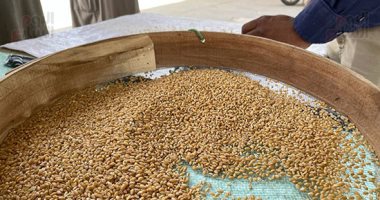 واردات مصر من القمح تتراجع للشهر الثالث منذ بداية 2022 وتسجل 310 مليون دولار