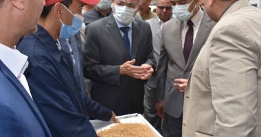 شون وصوامع المنيا تستقبل 436 ألف طن من محصول القمح بجميع المراكز