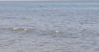 استقرار أمواج شاطئ بورسعيد وإقبال الأهالي على السباحة بالمياه.. فيديو