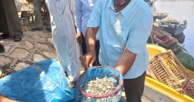 إلقاء 500 ألف زريعة من سمك البلطي في نهر النيل بالدقهلية