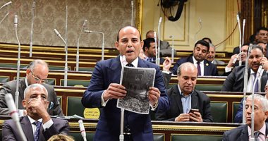 النائب عمرو القطامي: قرار البرلمان الأوروبي عن مصر يستند لتقارير منظمات مشبوهة